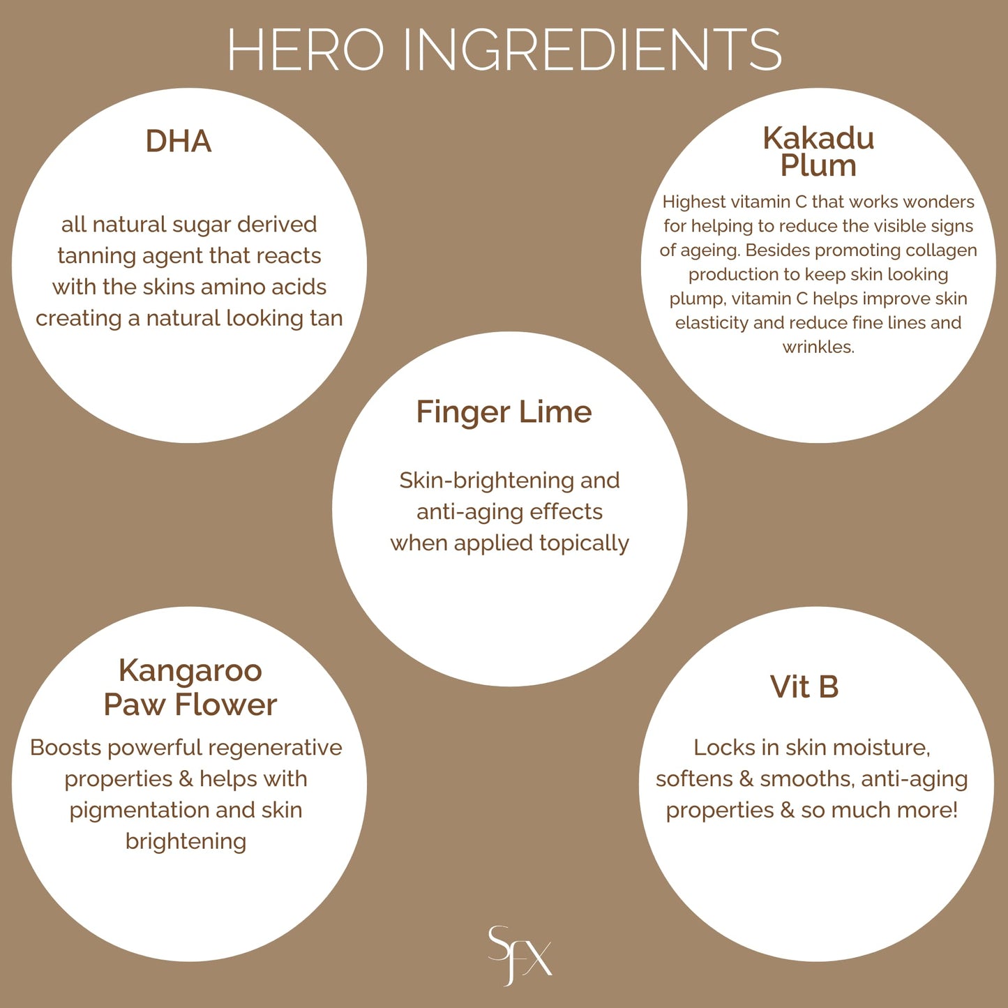 SunFX Caribbean Chocolate LIGHT SUMMER Spray Tan Solution - 4 Fl Oz / 100ml